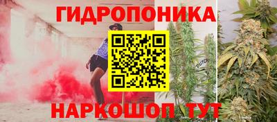 PSILOCYBIN Гусев