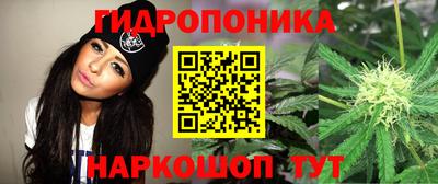 каннабис Гусь-Хрустальный